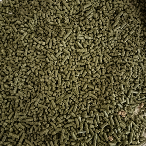 Alfalfa Pellets