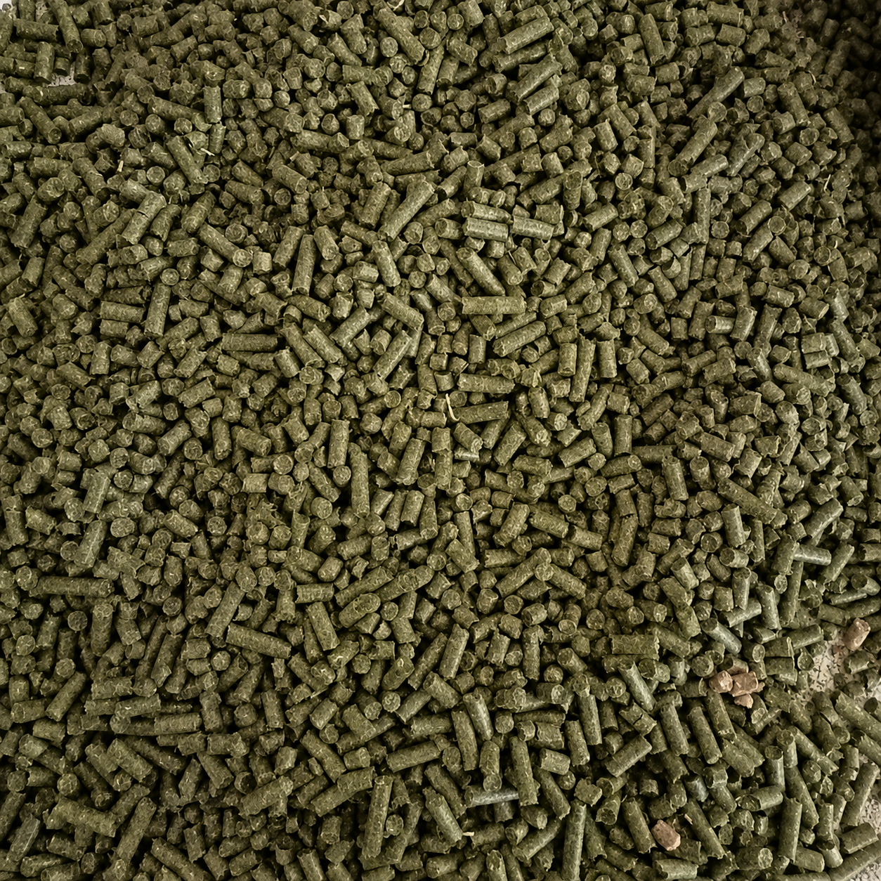 Alfalfa Pellets