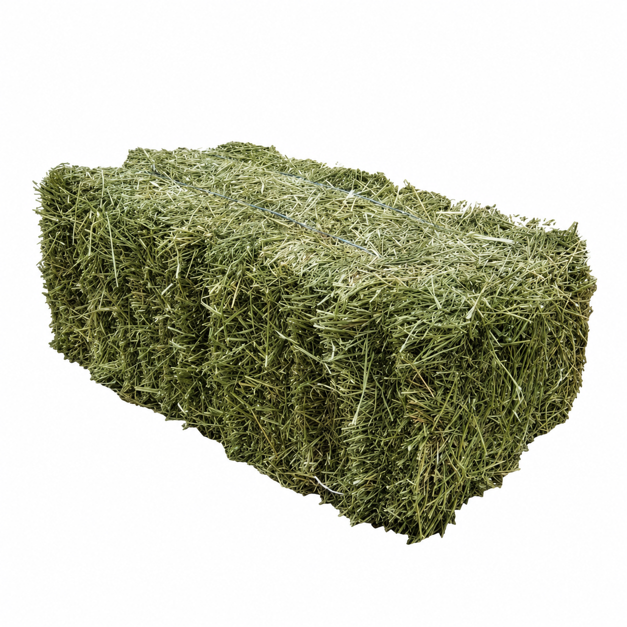 Alfalfa Hay Bale